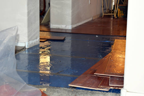 Professional Basement Flood Cleanup technician working in Washington, PA